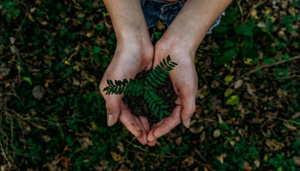 Sustainability & Carbon Footprint Systems